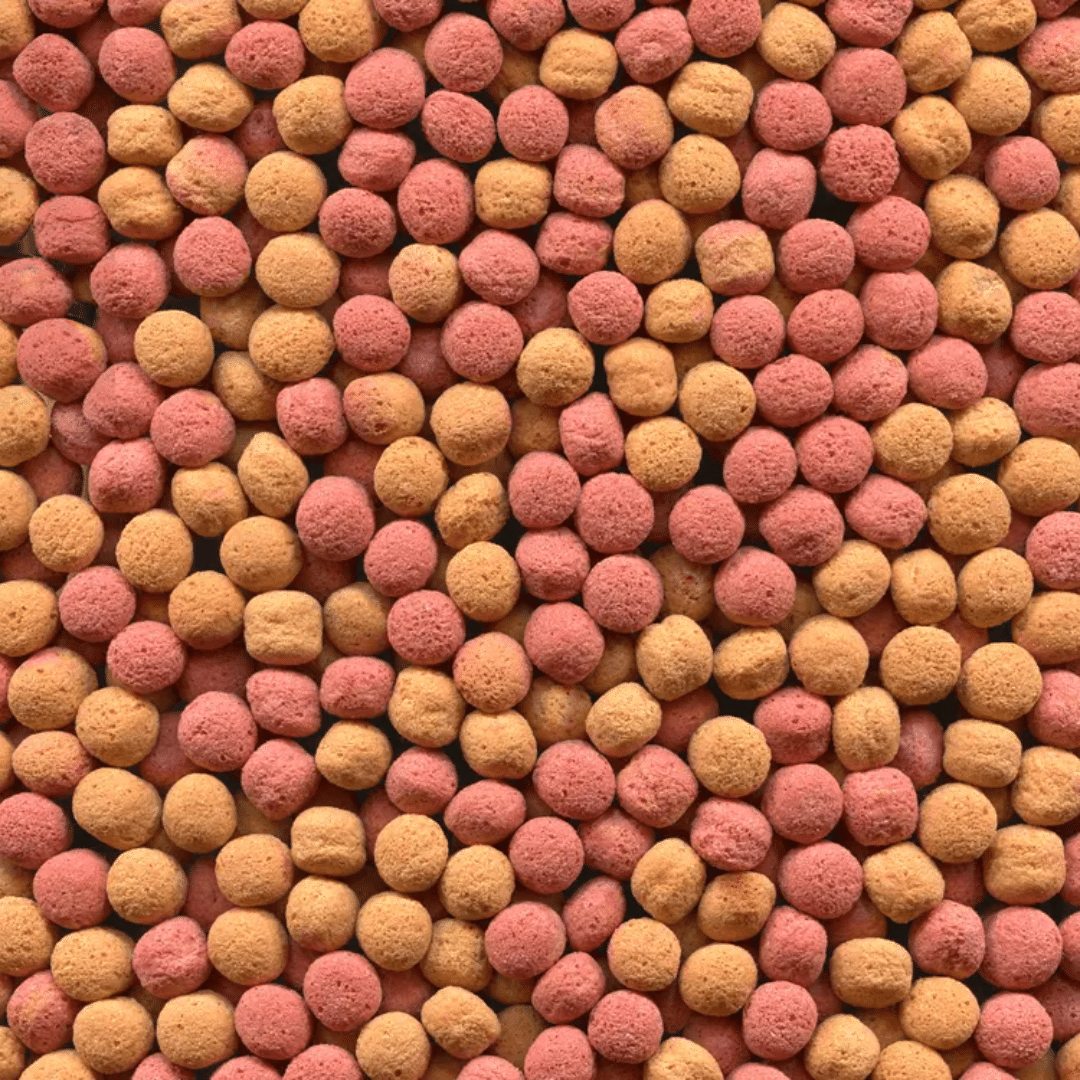 Alcon Club Tucanos (5kg) - Imagem 2