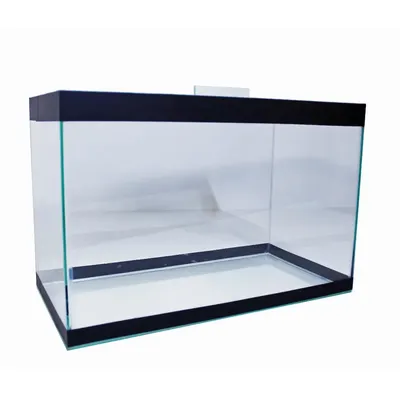 Aquário Individual (60cm x 30cm x 40cm - 4mm)