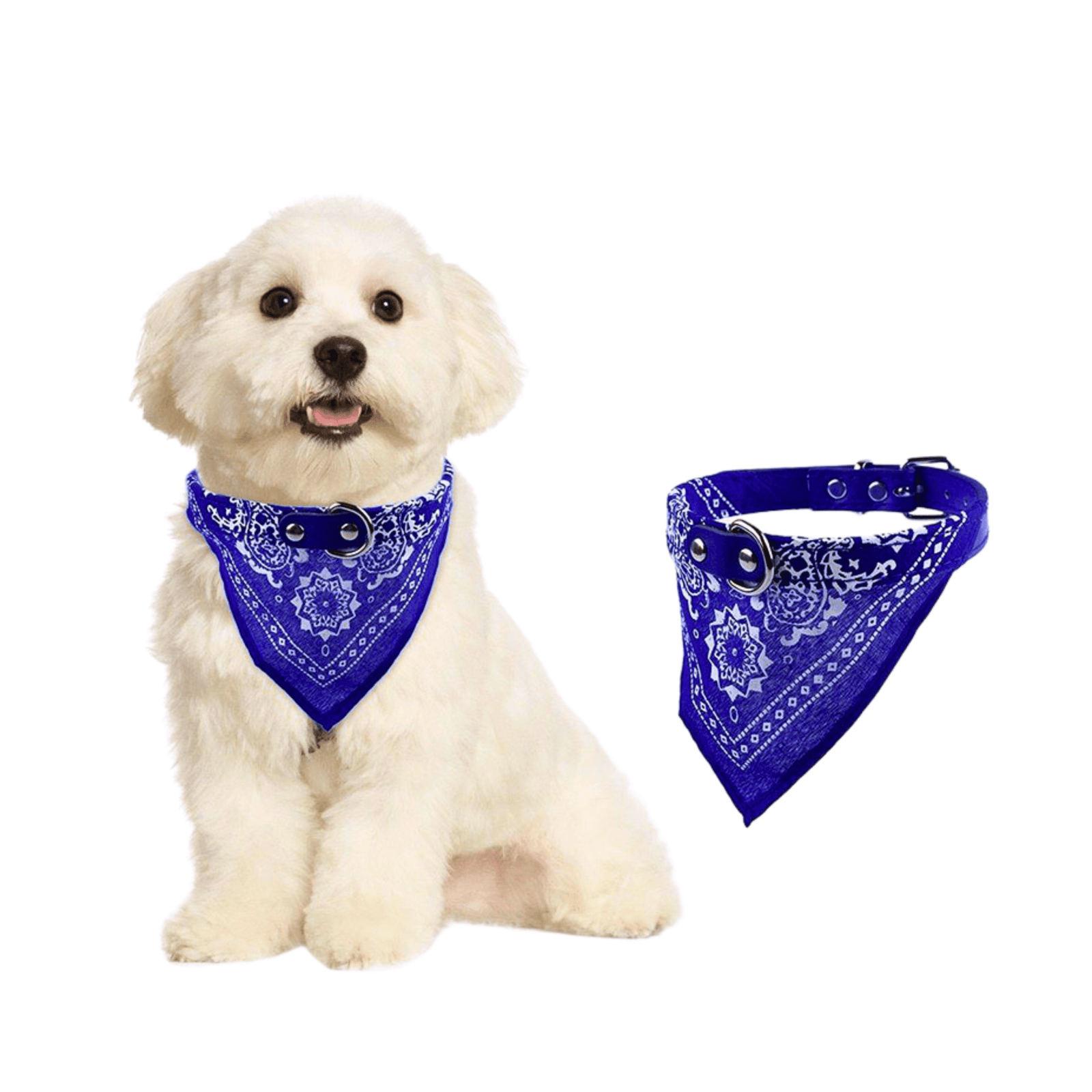 Coleira Bandana Grande (50cm)