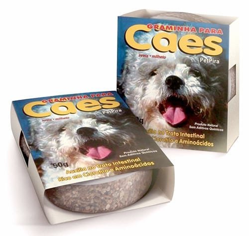 Graminha Pet Pira Cães